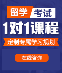 看外国女人操逼视频留学考试一对一精品课